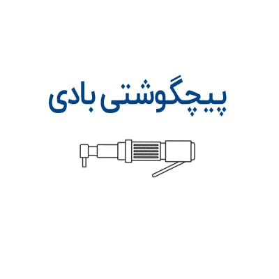 پیچگوشتی بادی